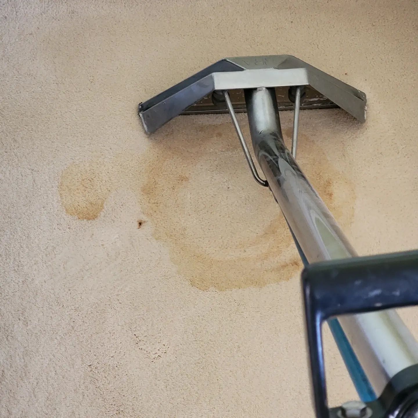 Before — carpet deep clean